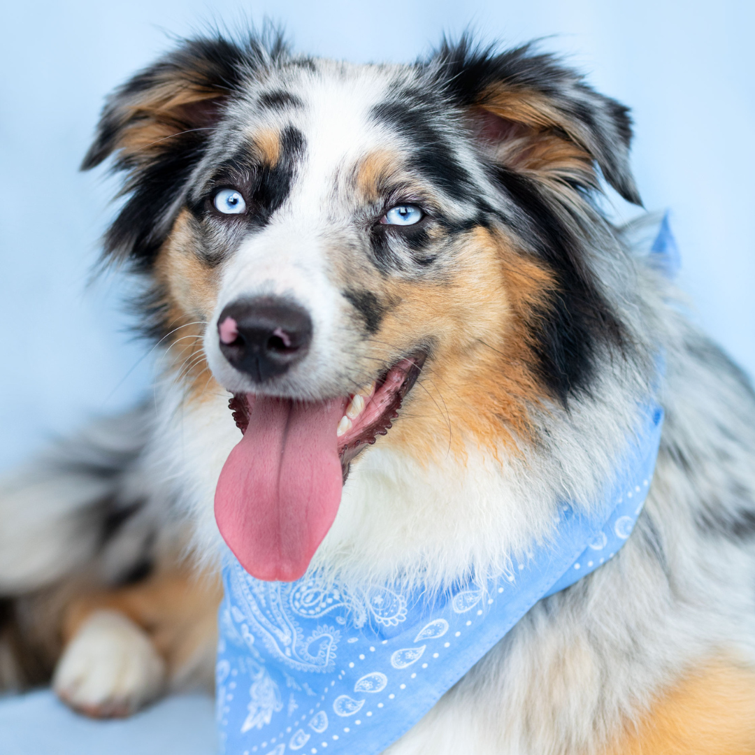 WIGGLE WIGGLE Necklace