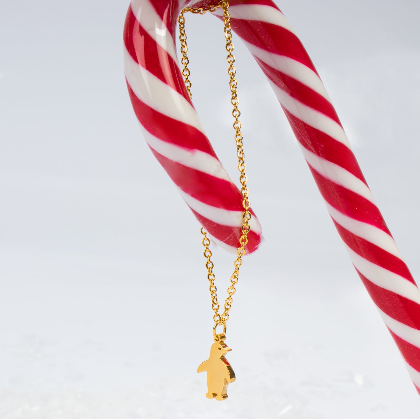 WILL YOU BE MY PENGUIN Necklace